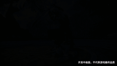 王某某卖 淫！